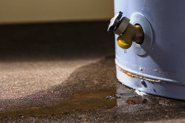 Laurel Hill, NC Water damage restoration Company