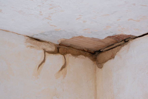 Best Water damage restoration specialists  in Laurel Hill, NC